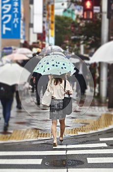 Attractive beautiful lady hold an umbrella.